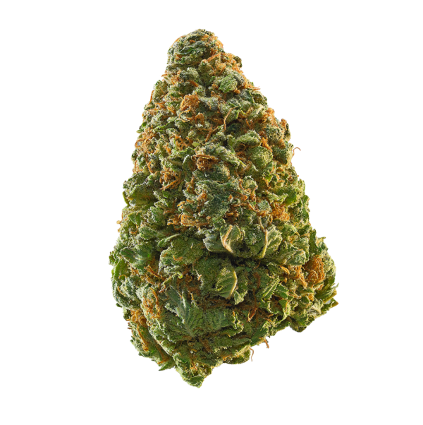 Key Lime Pie (Hybrid)