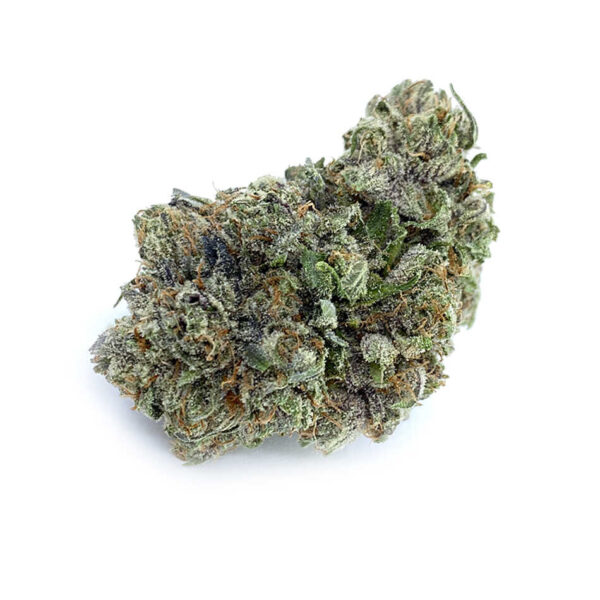 3022 (Indica)